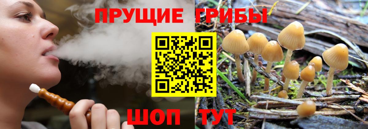 Галлюциногенные грибы мухоморы  Вход с VPN  Гусев 