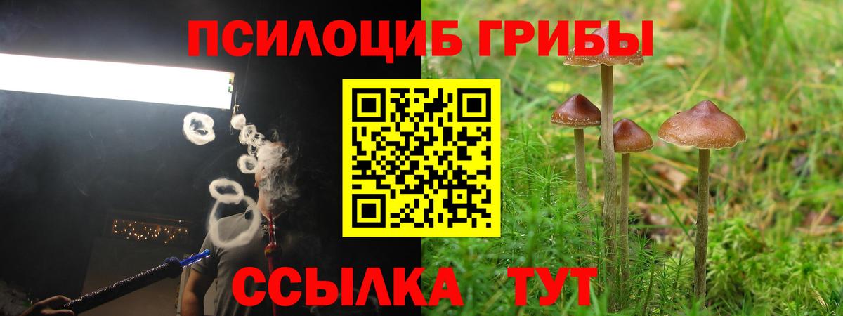 Галлюциногенные грибы ЛСД Гусев