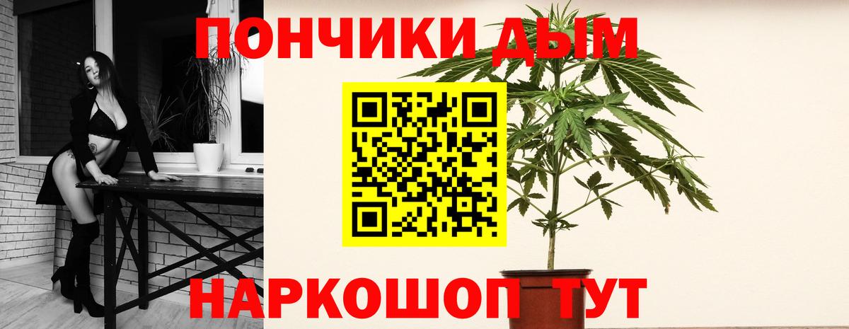 Марихуана Amnesia  Вход с VPN  Гусев  Шишки марихуана план 